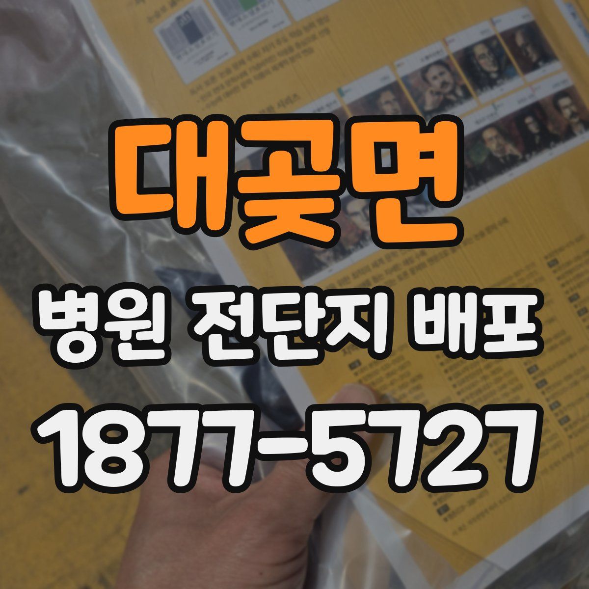 대곶면 병원 전단지 배포
