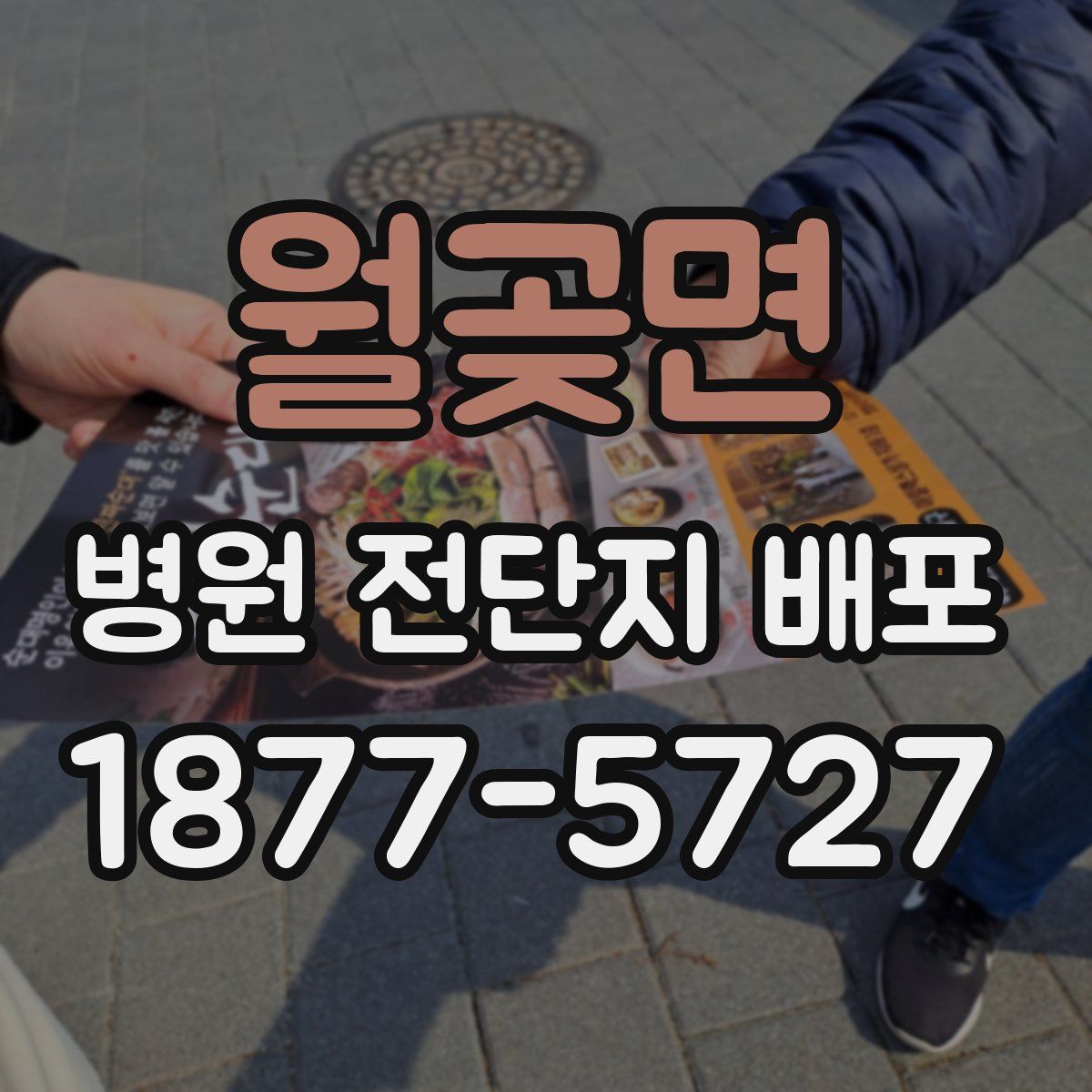 월곶면 병원 전단지 배포