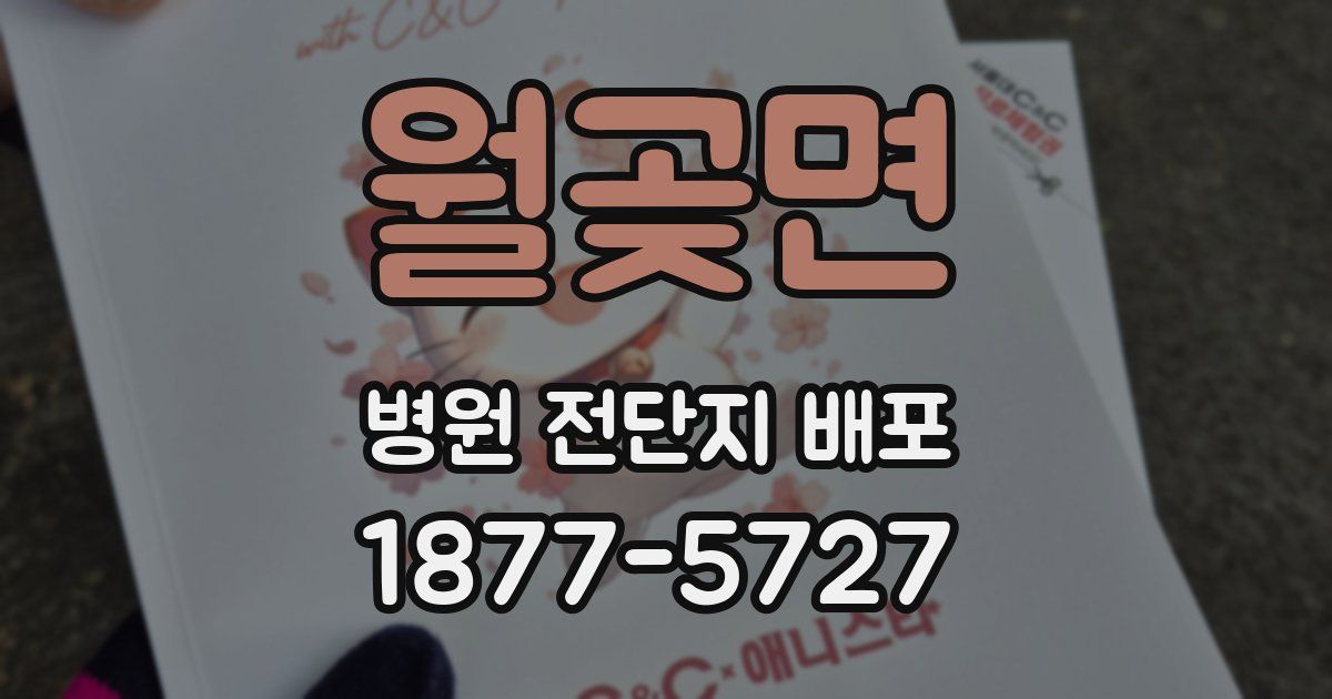 월곶면 병원 전단지 배포