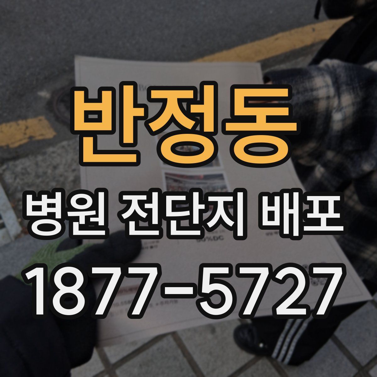 반정동 병원 전단지 배포