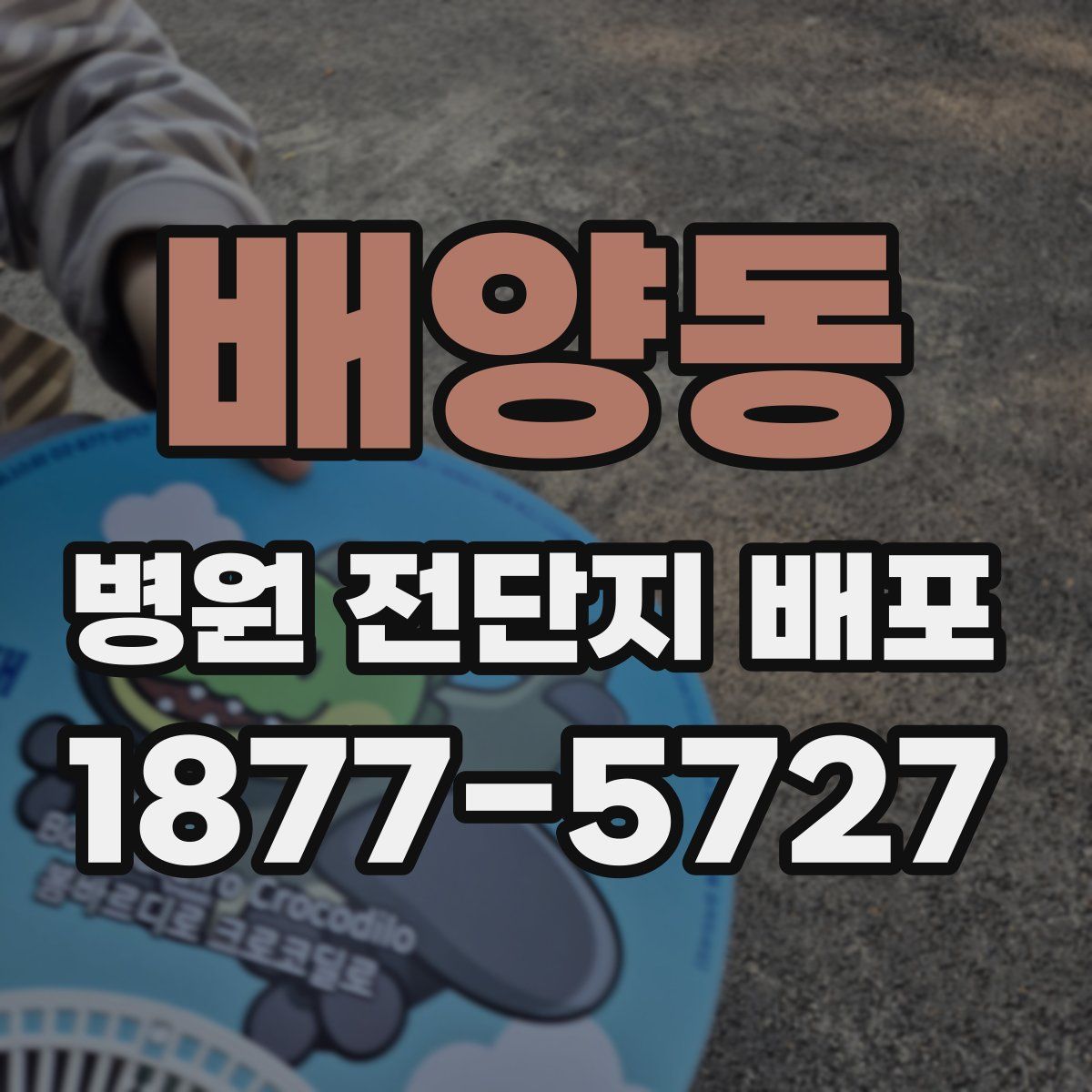 배양동 병원 전단지 배포