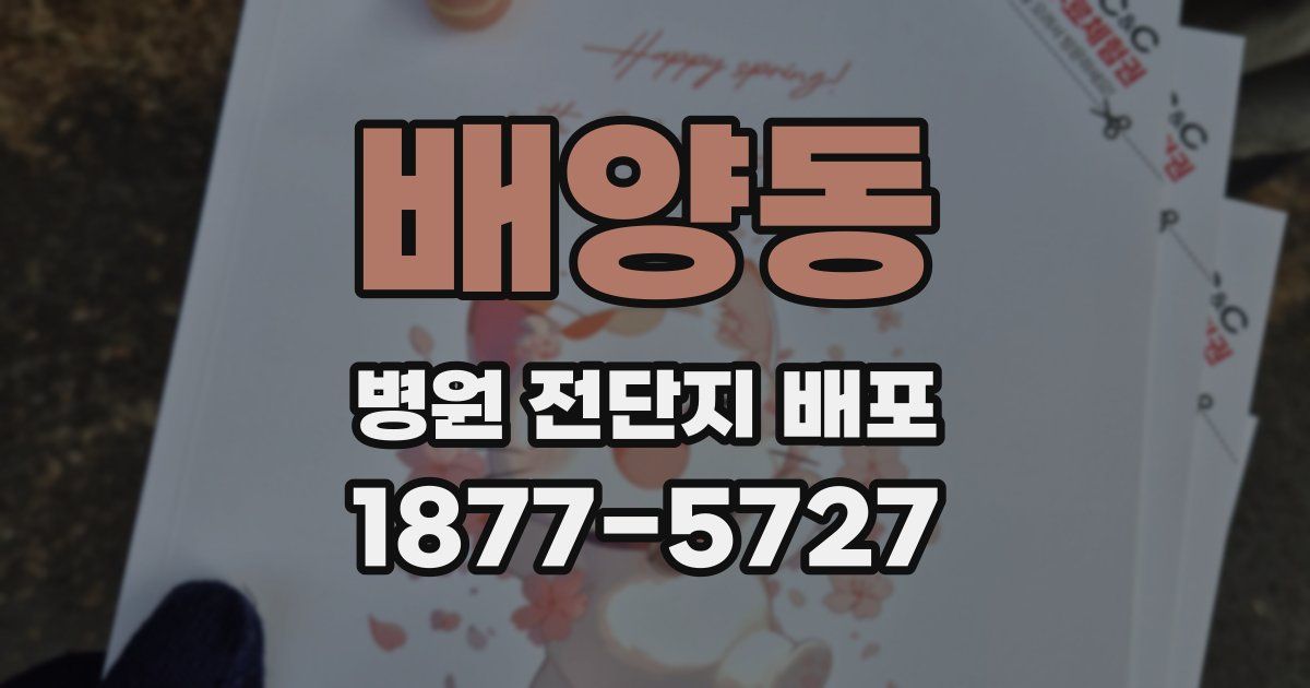 배양동 병원 전단지 배포