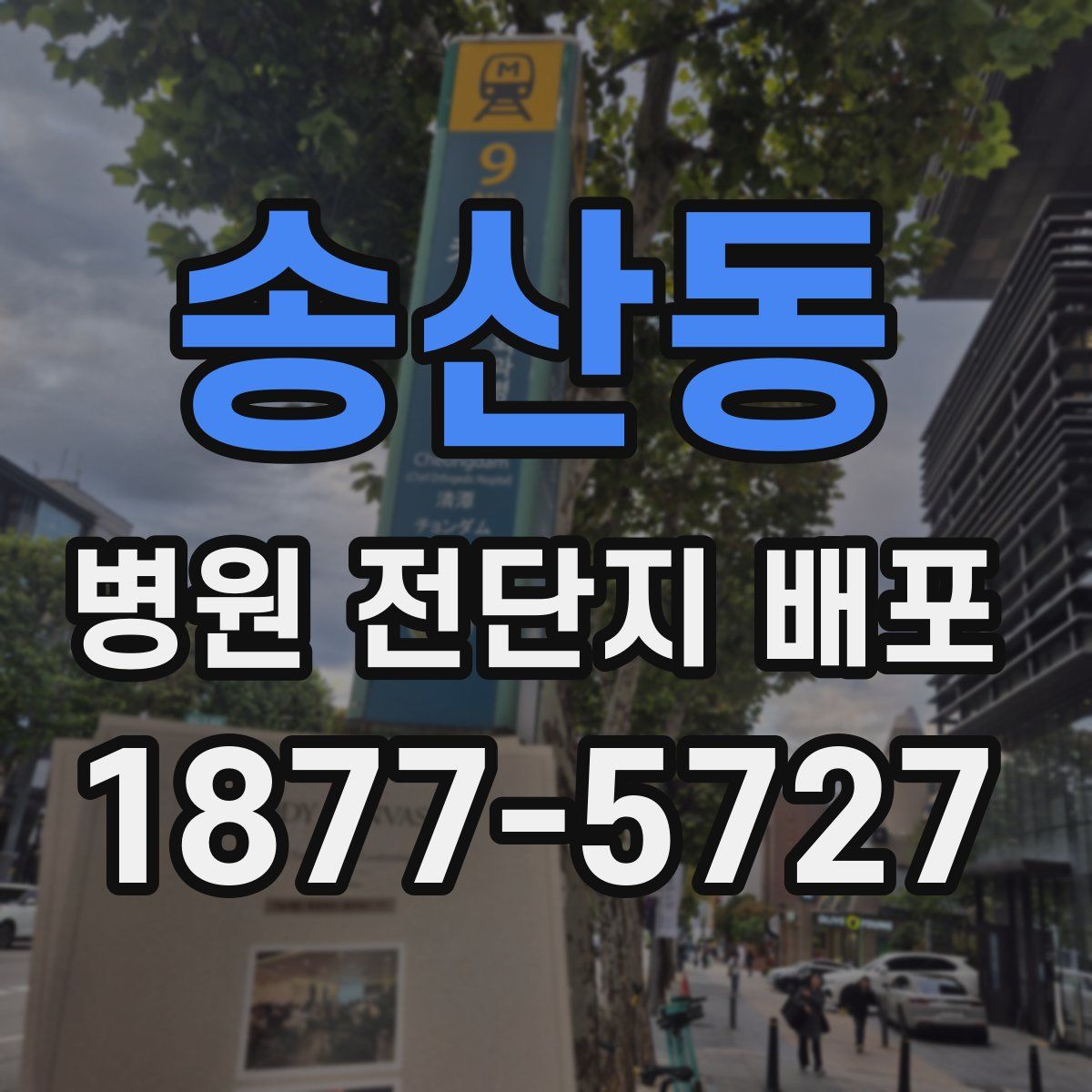 송산동 병원 전단지 배포