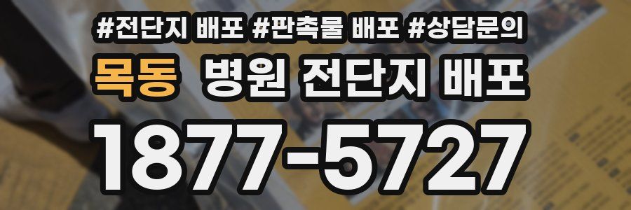 목동 병원 전단지 배포