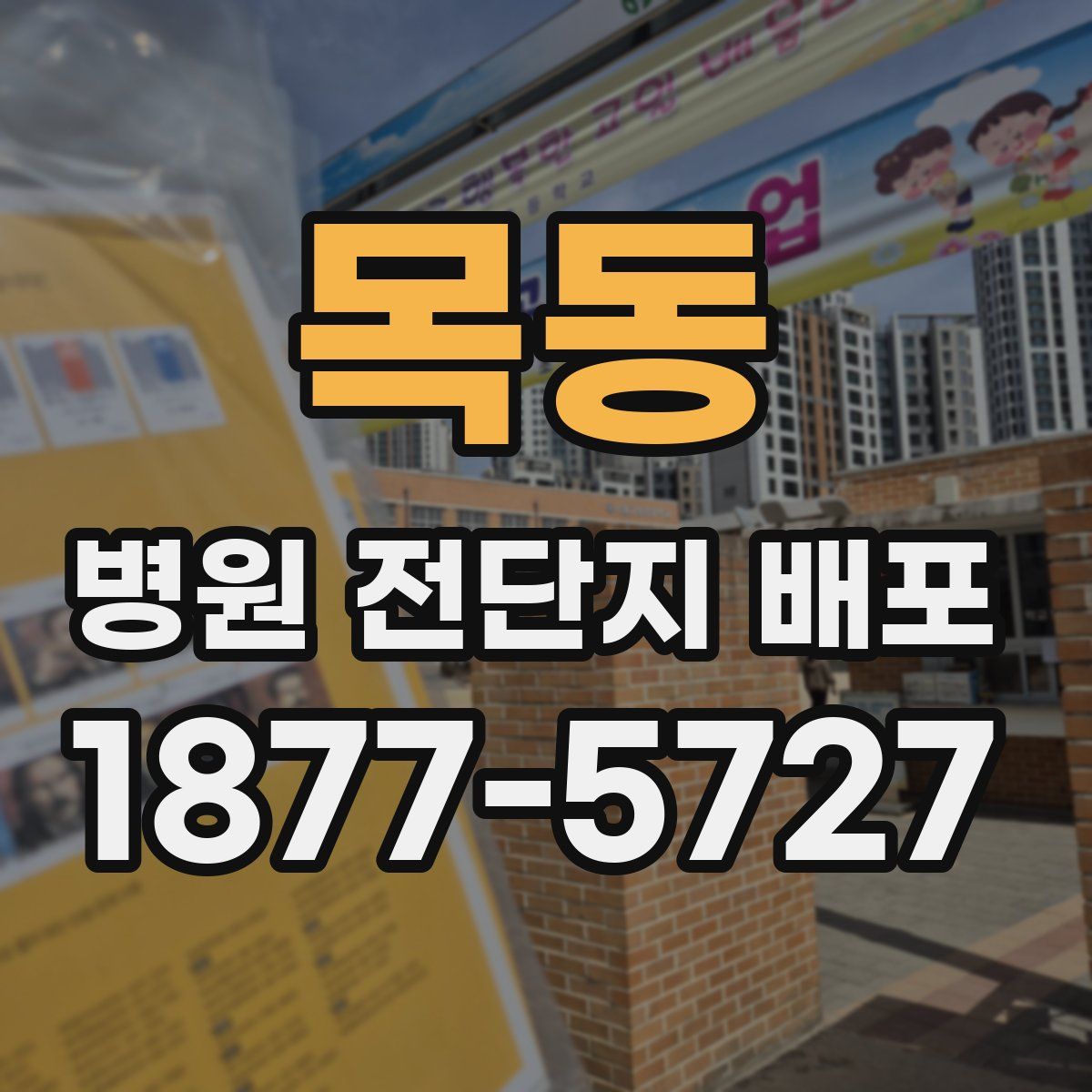 목동 병원 전단지 배포