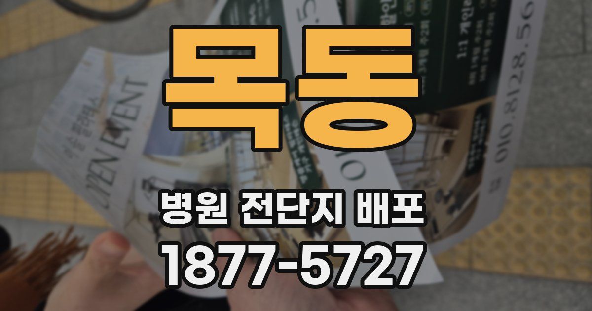 목동 병원 전단지 배포