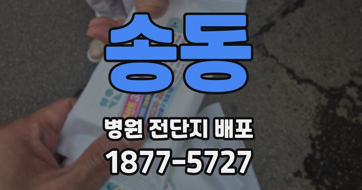 송동 병원 전단지 배포