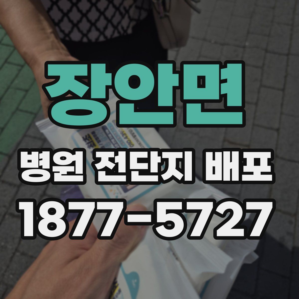 장안면 병원 전단지 배포