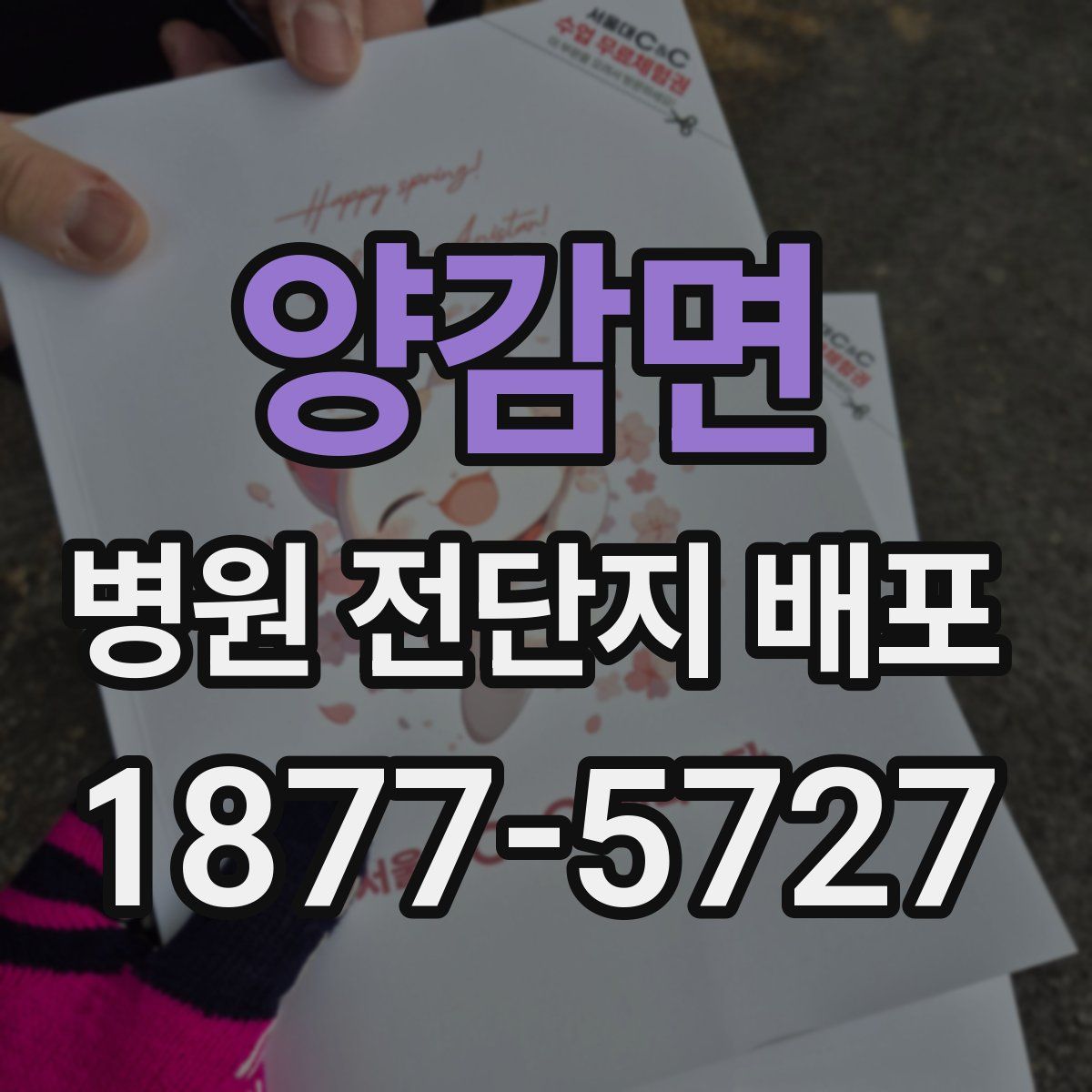 양감면 병원 전단지 배포