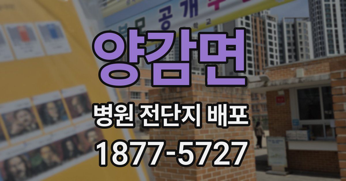 양감면 병원 전단지 배포