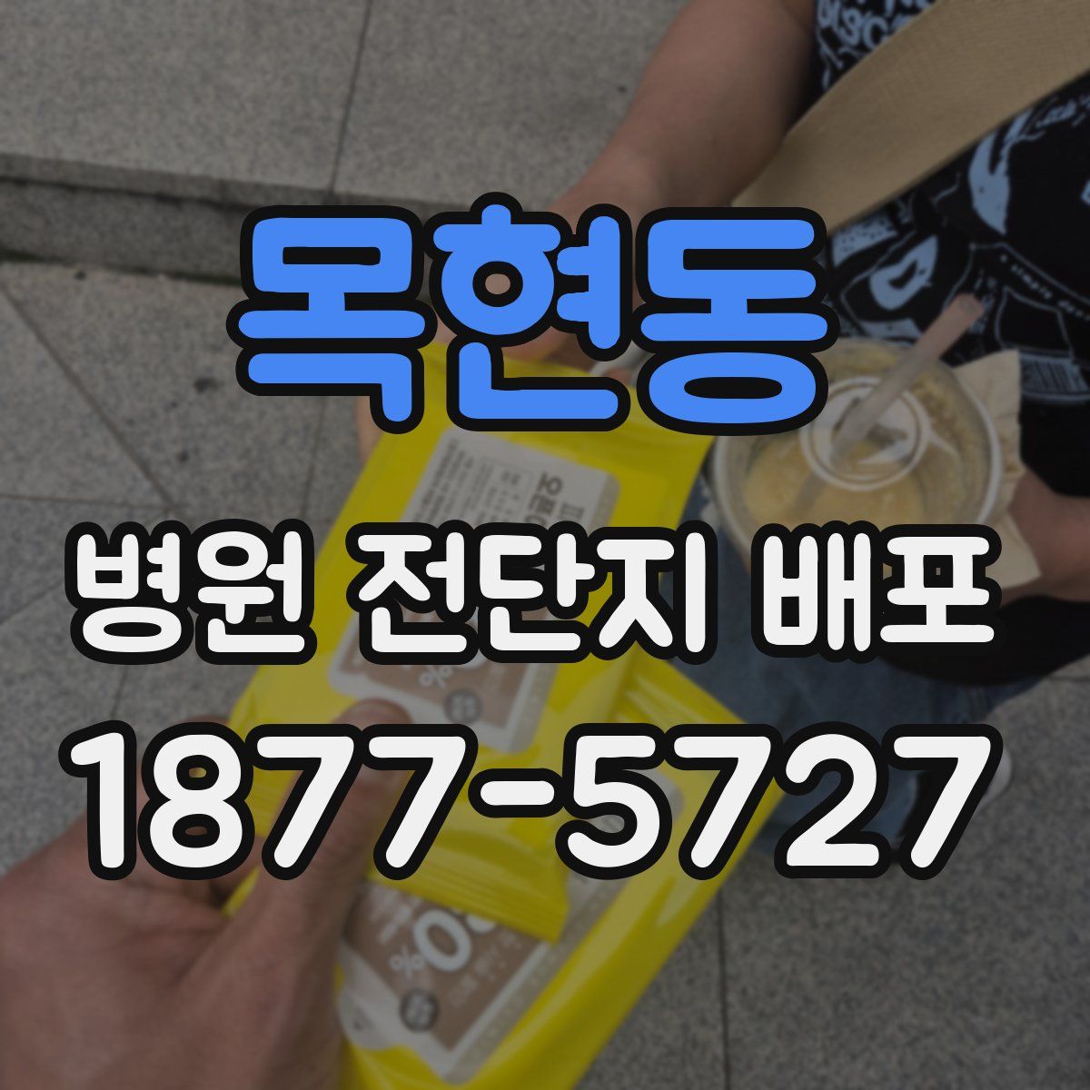 목현동 병원 전단지 배포