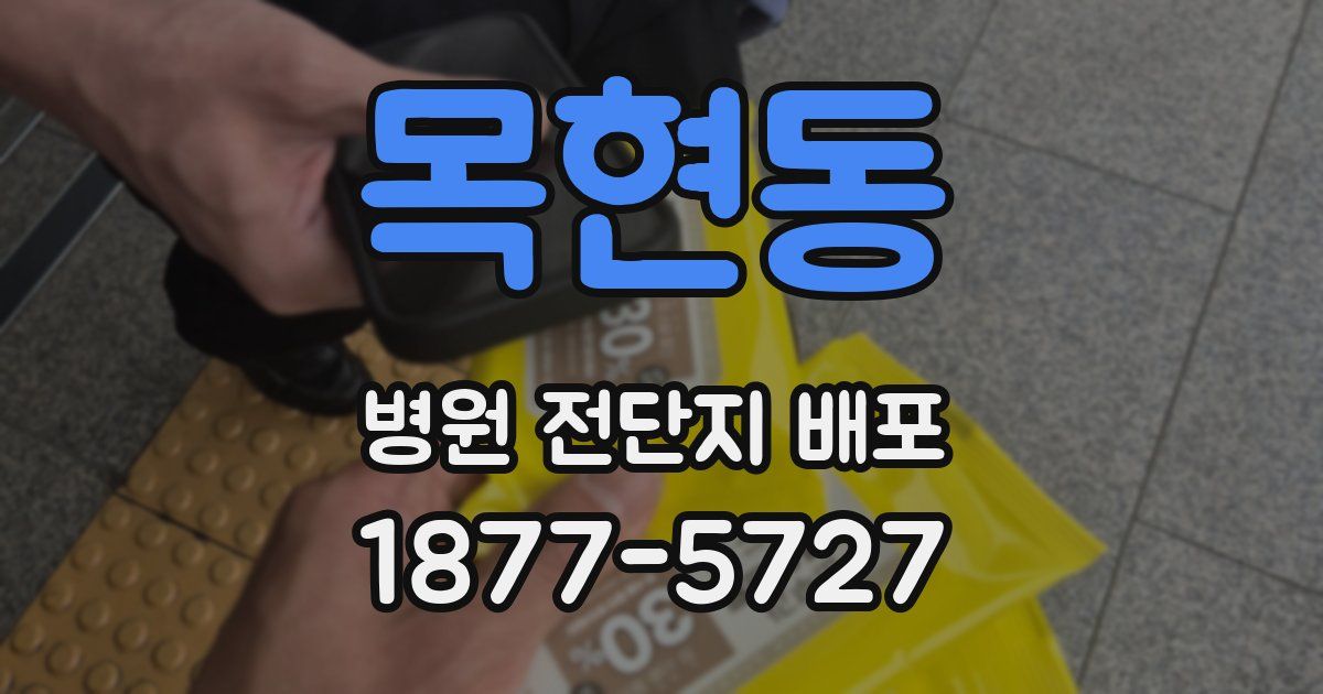 목현동 병원 전단지 배포