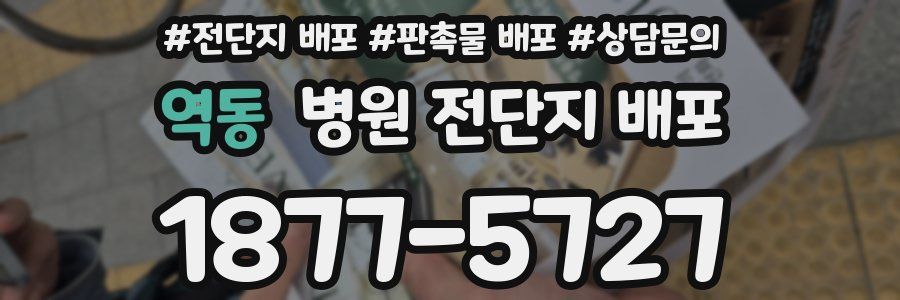 역동 병원 전단지 배포
