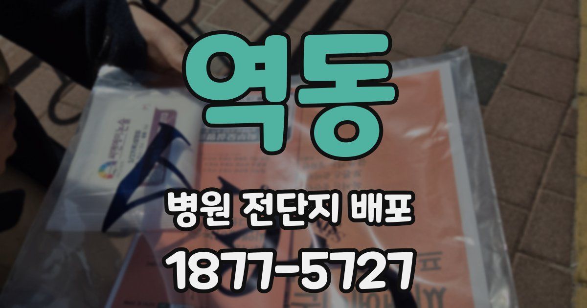 역동 병원 전단지 배포