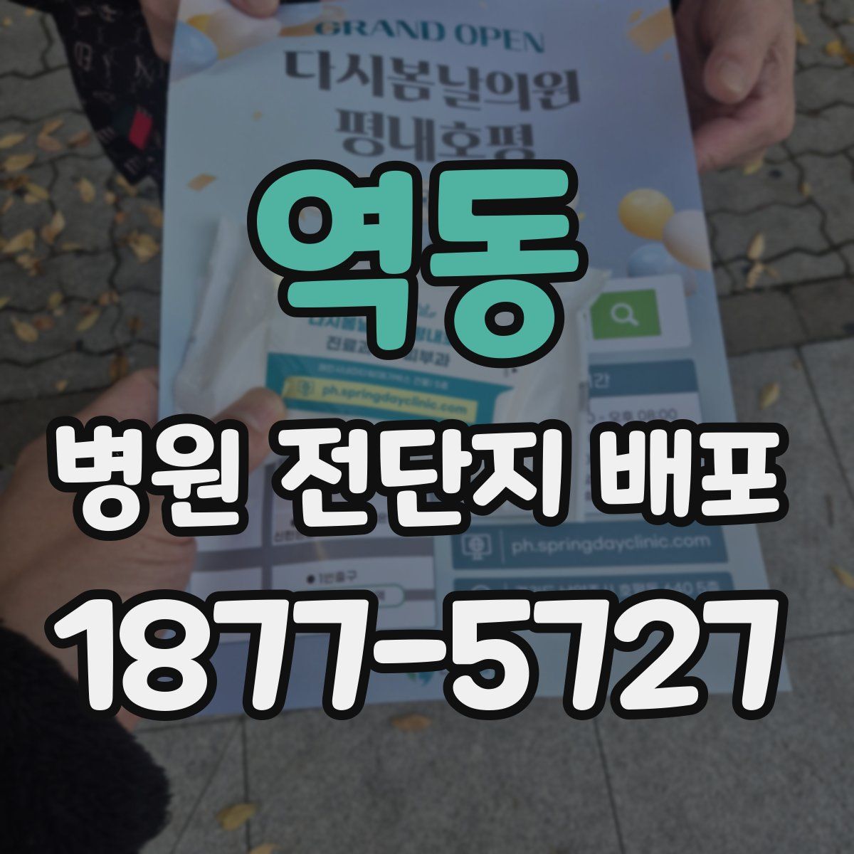 역동 병원 전단지 배포