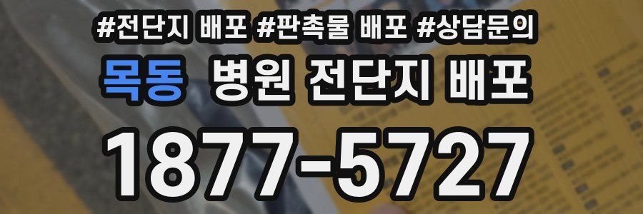 목동 병원 전단지 배포