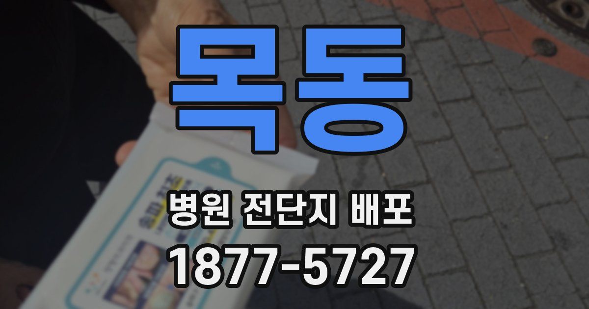 목동 병원 전단지 배포