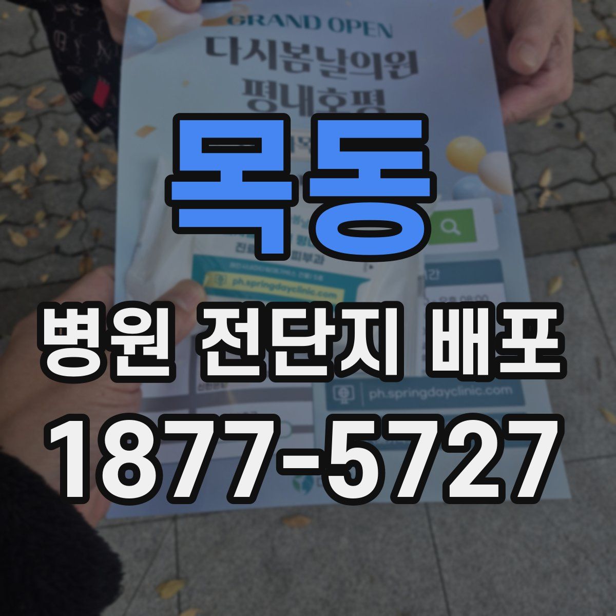 목동 병원 전단지 배포