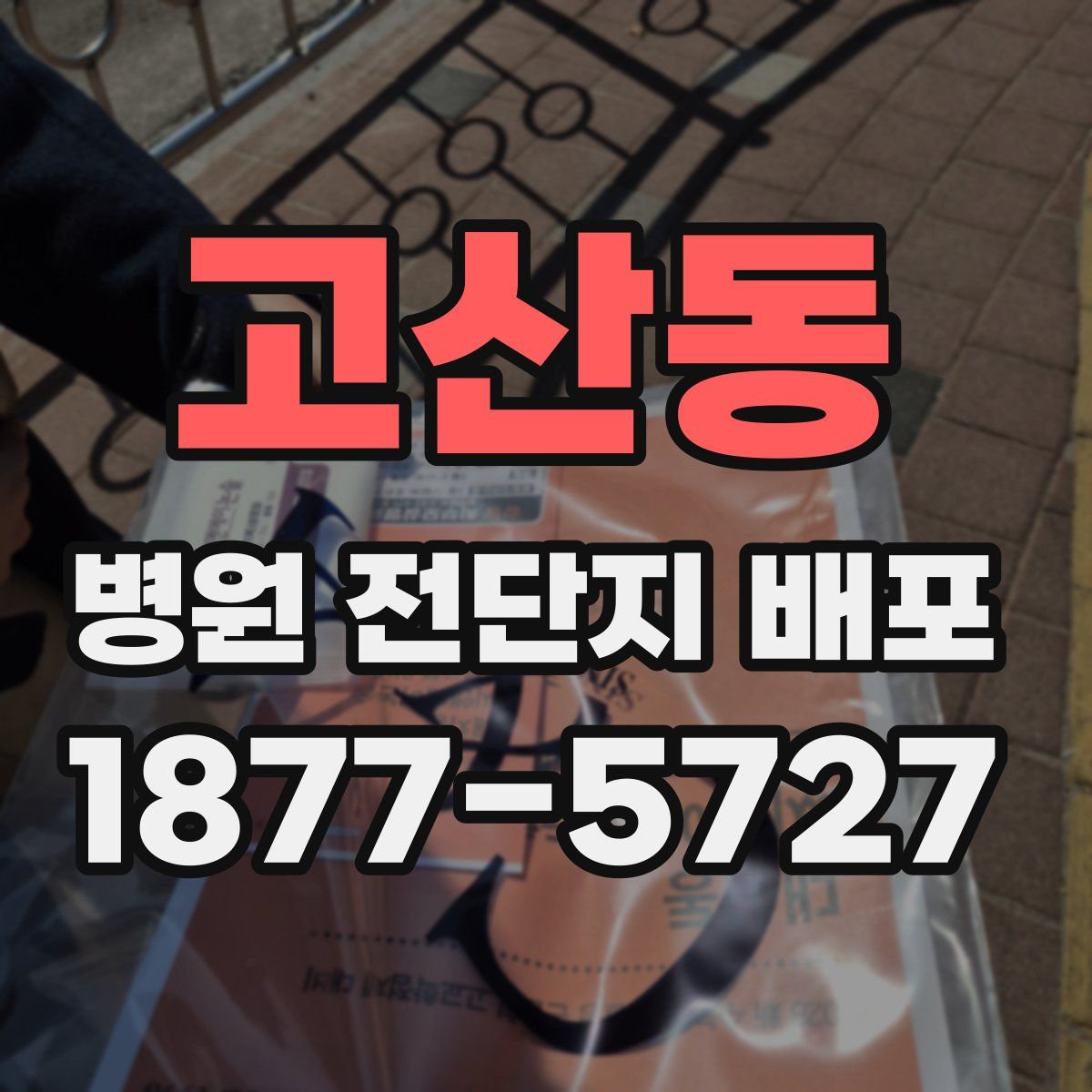 고산동 병원 전단지 배포