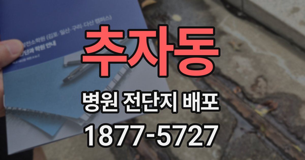 추자동 병원 전단지 배포