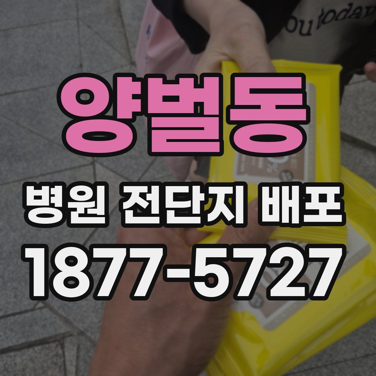 양벌동 병원 전단지 배포