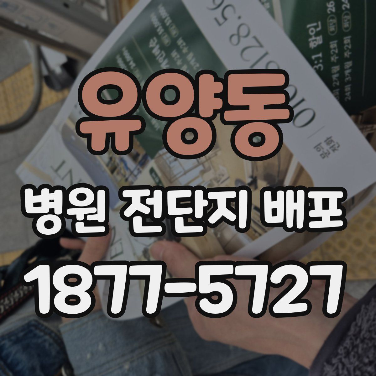유양동 병원 전단지 배포