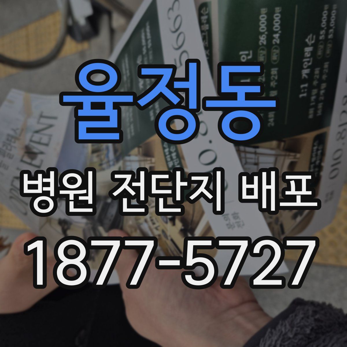 율정동 병원 전단지 배포
