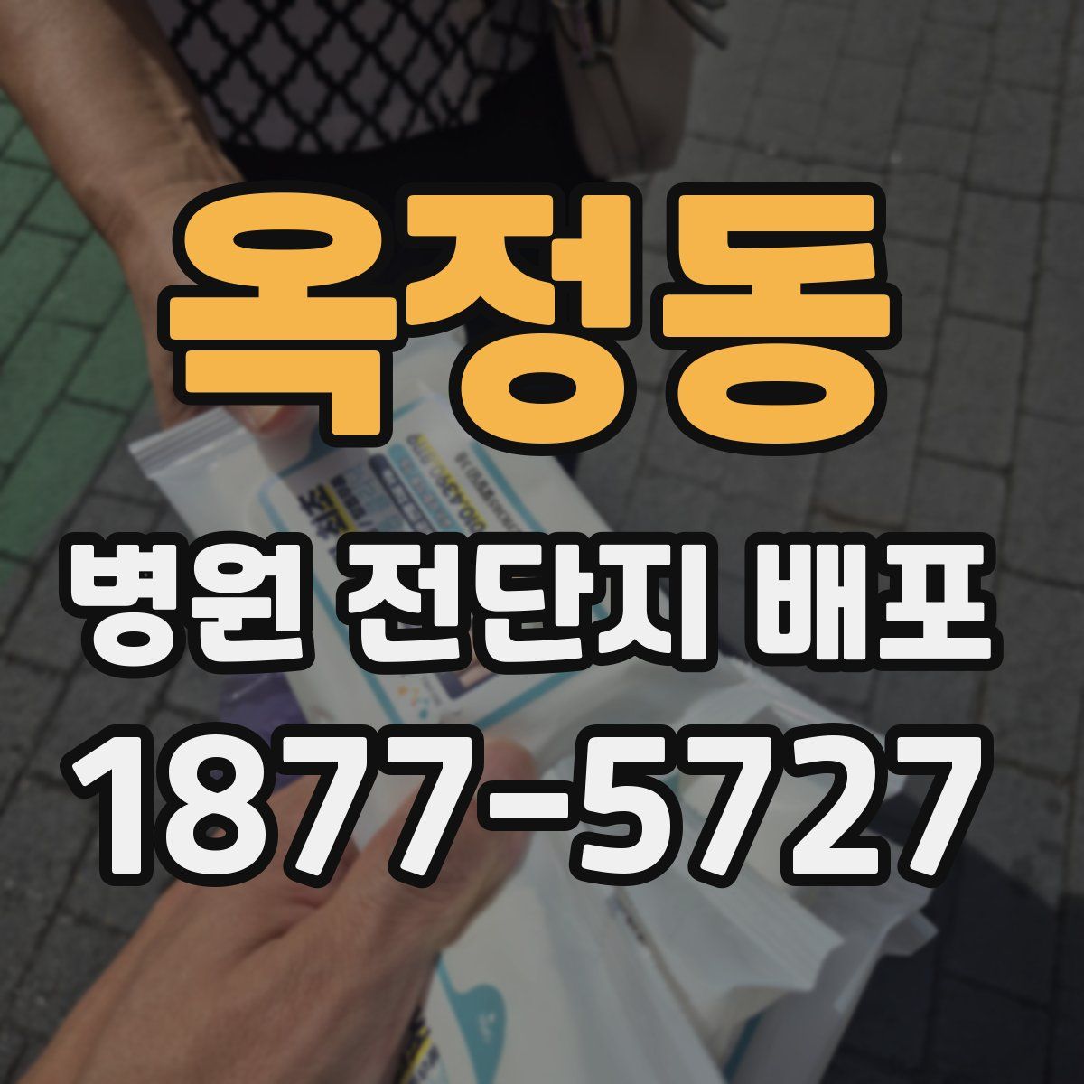 옥정동 병원 전단지 배포