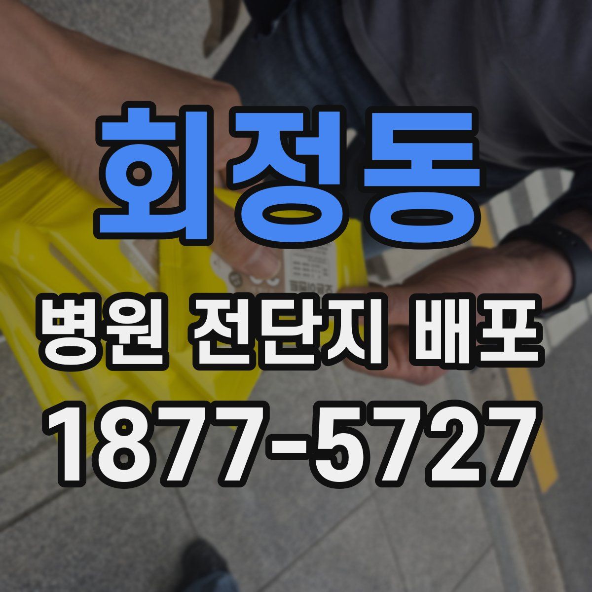 회정동 병원 전단지 배포