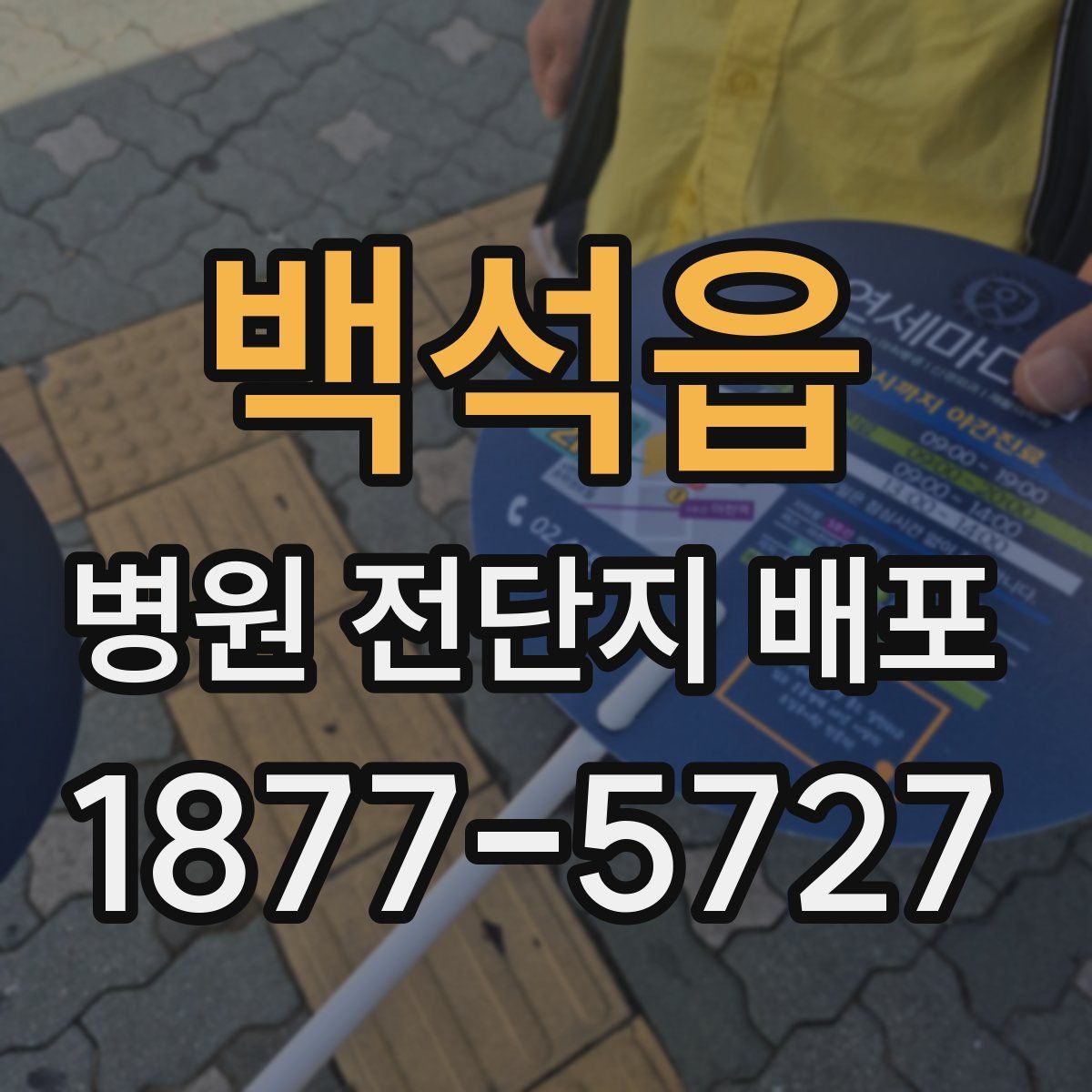 백석읍 병원 전단지 배포