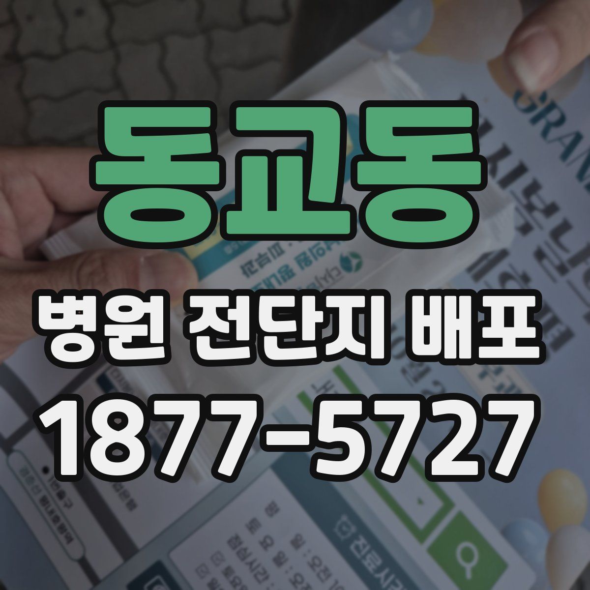 동교동 병원 전단지 배포