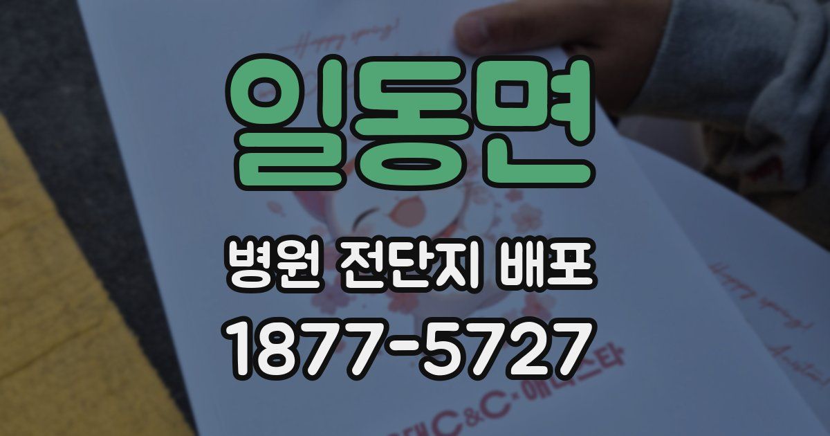 일동면 병원 전단지 배포