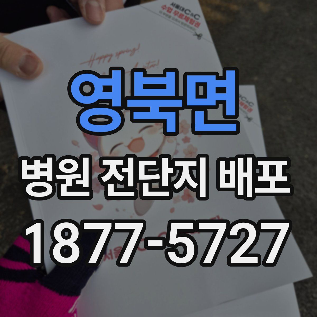 영북면 병원 전단지 배포