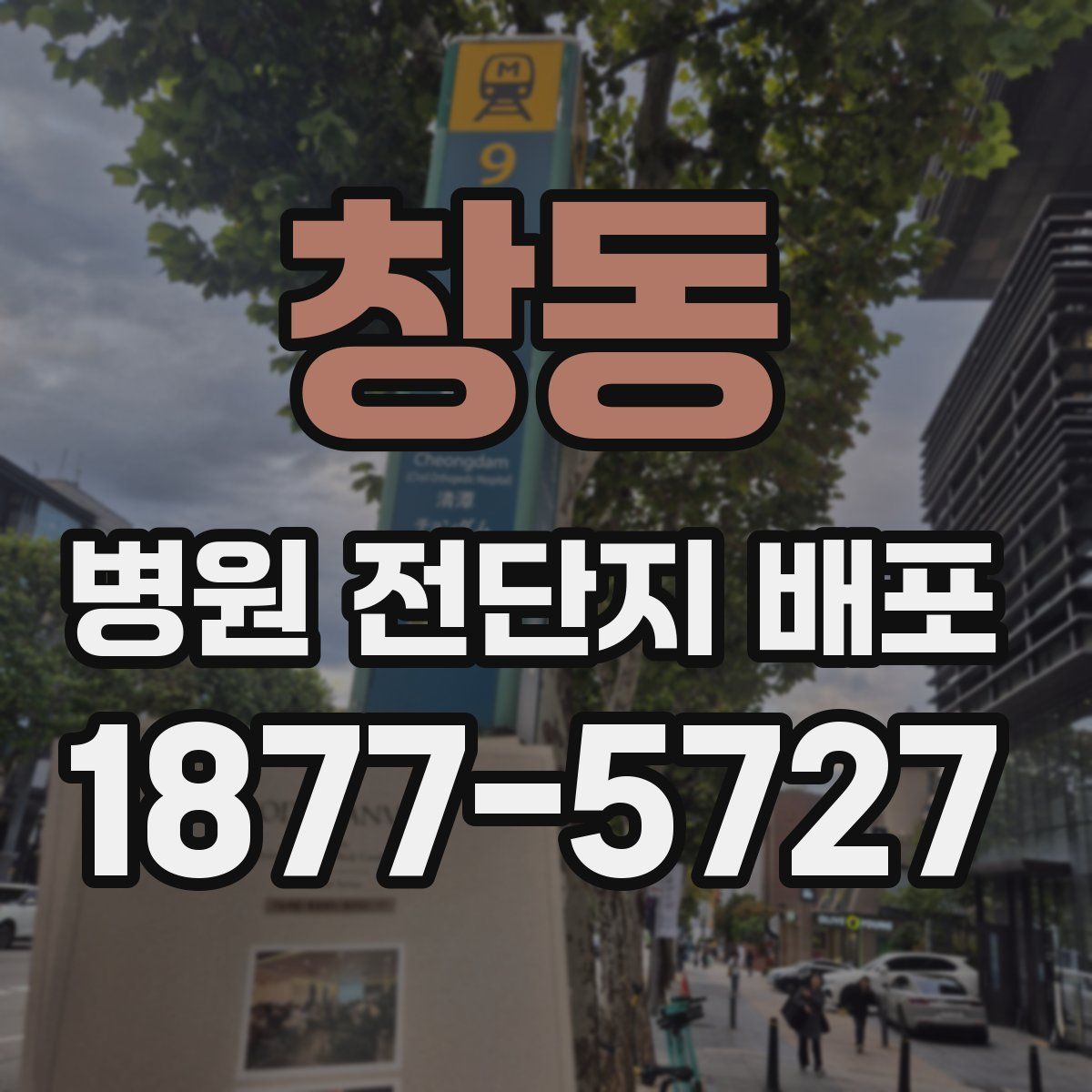 창동 병원 전단지 배포