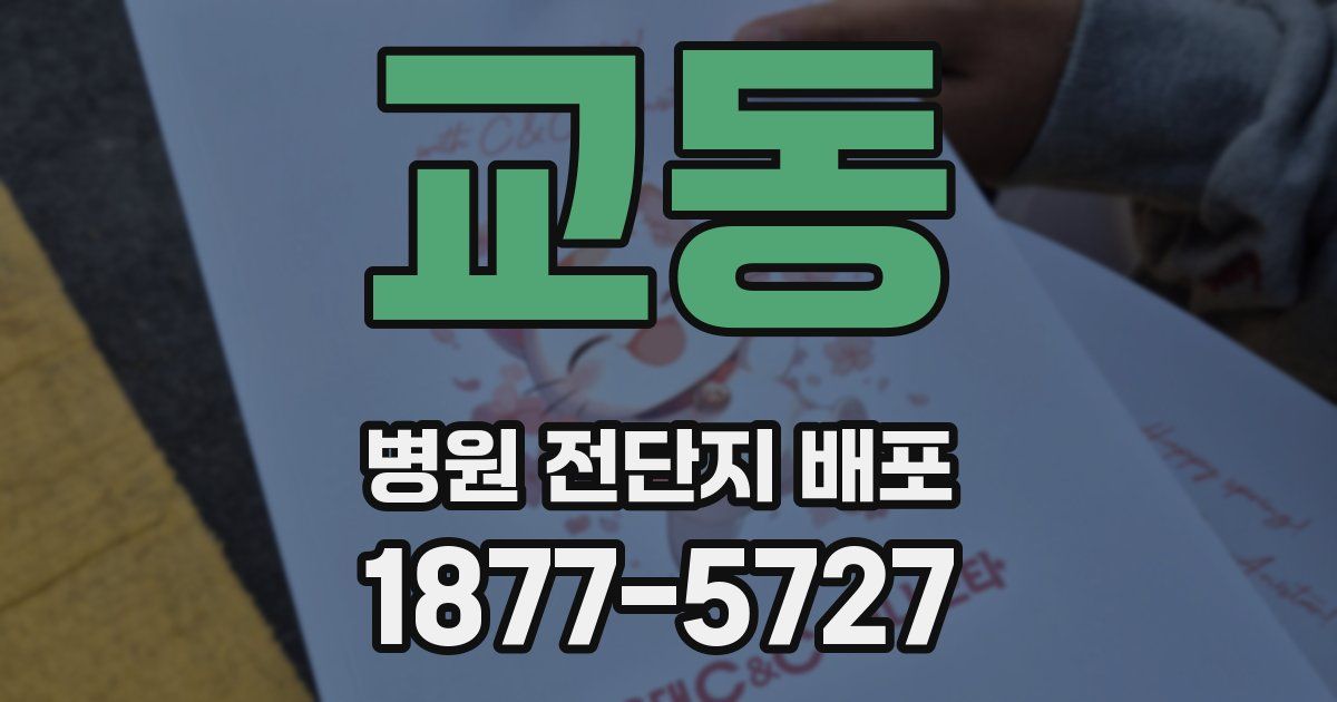 교동 병원 전단지 배포