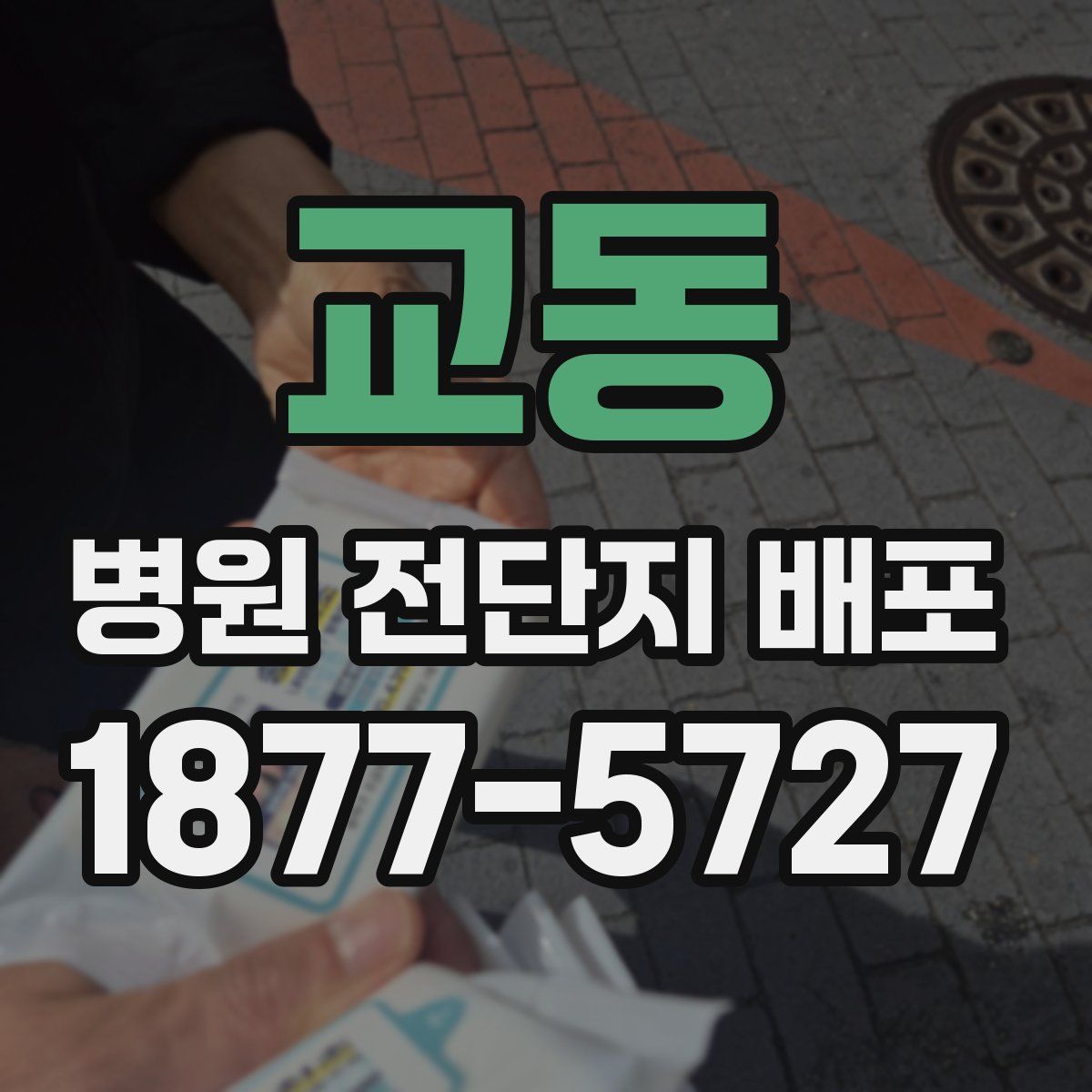교동 병원 전단지 배포