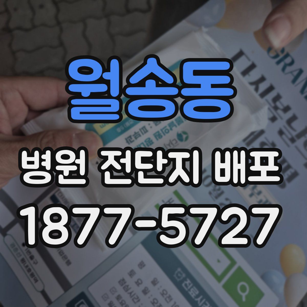 월송동 병원 전단지 배포