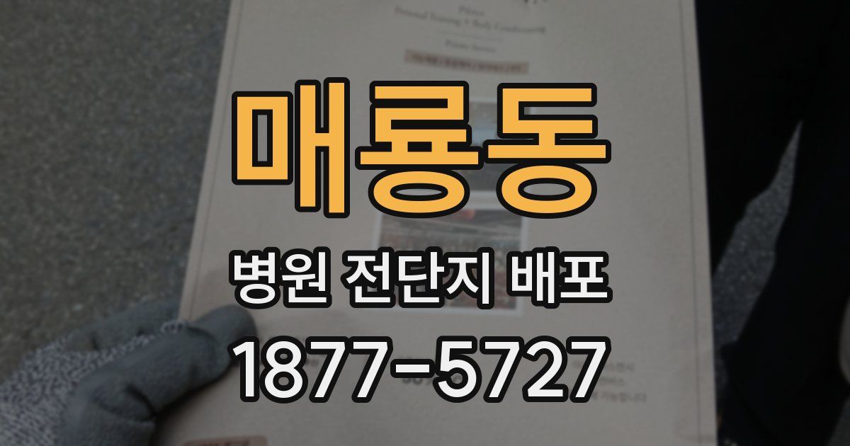 매룡동 병원 전단지 배포
