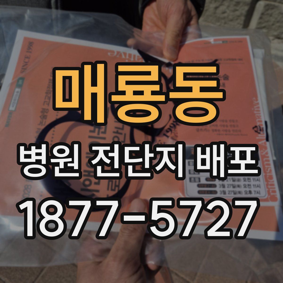 매룡동 병원 전단지 배포