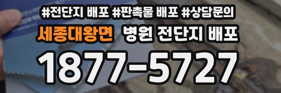 세종대왕면 병원 전단지 배포