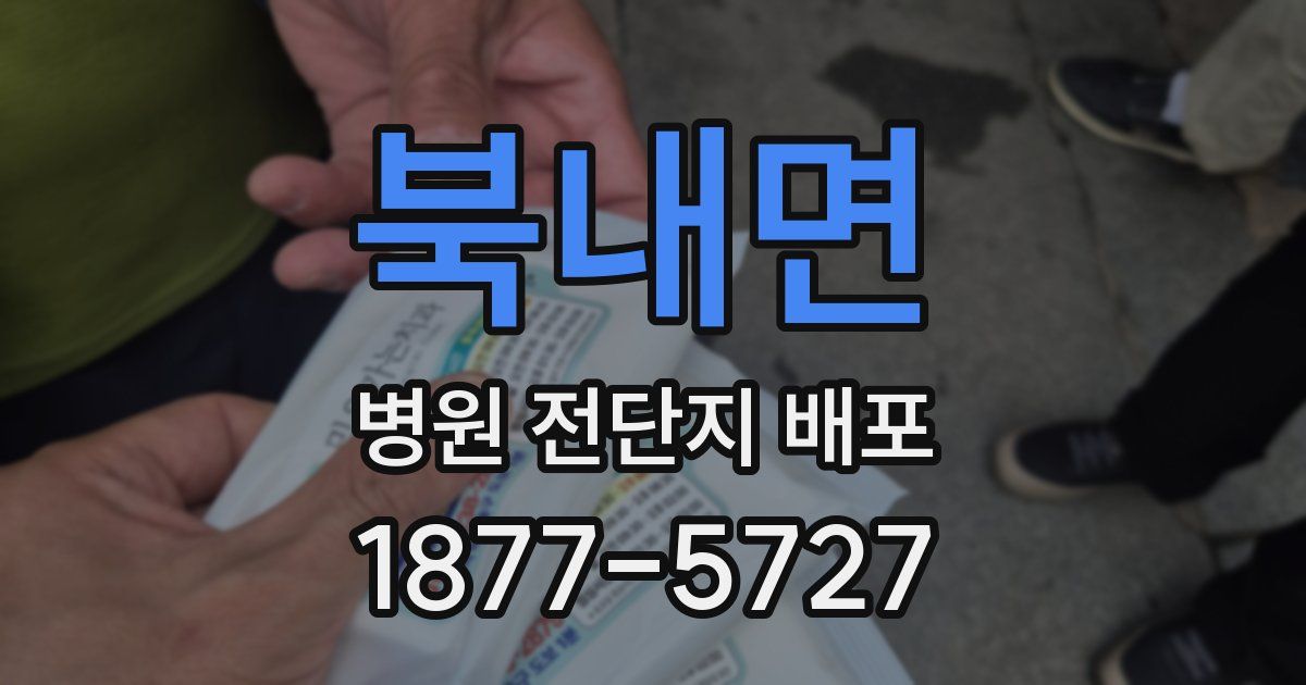 북내면 병원 전단지 배포