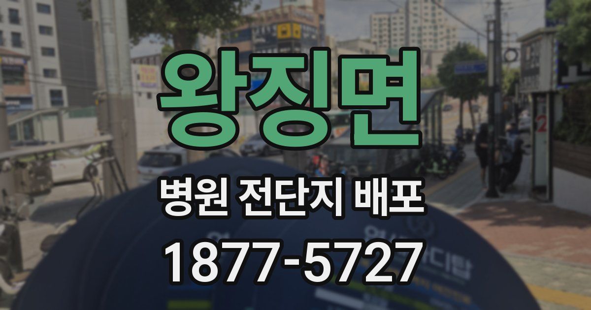 왕징면 병원 전단지 배포