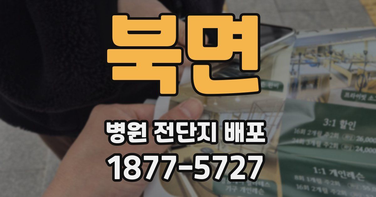 북면 병원 전단지 배포