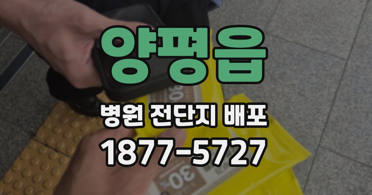 양평읍 병원 전단지 배포
