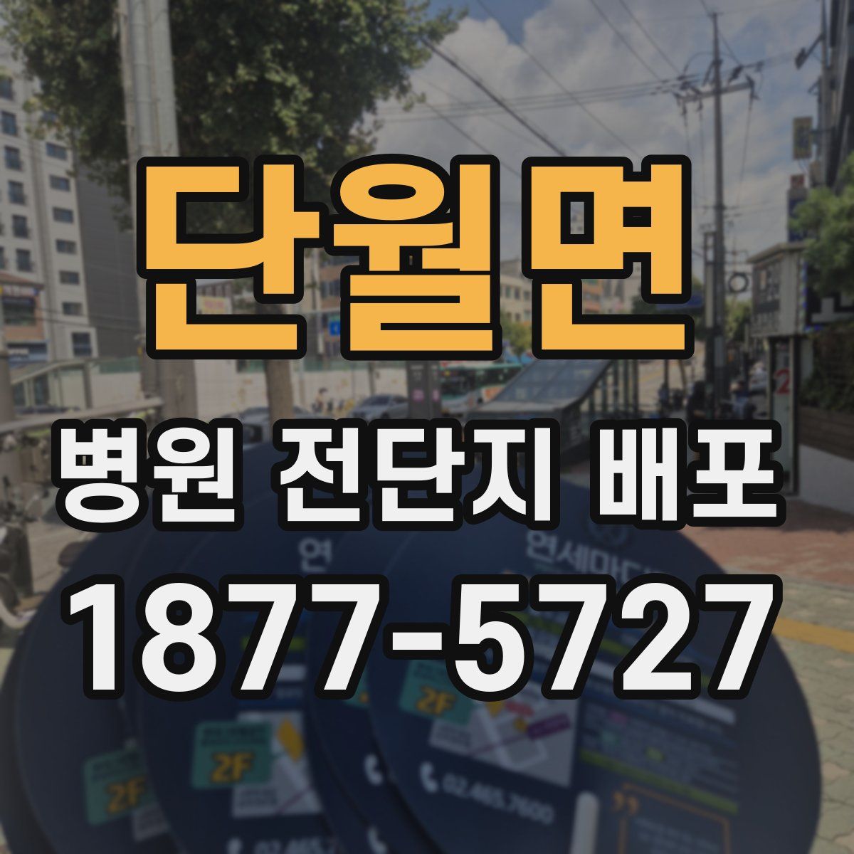 단월면 병원 전단지 배포