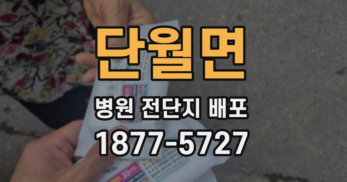 단월면 병원 전단지 배포