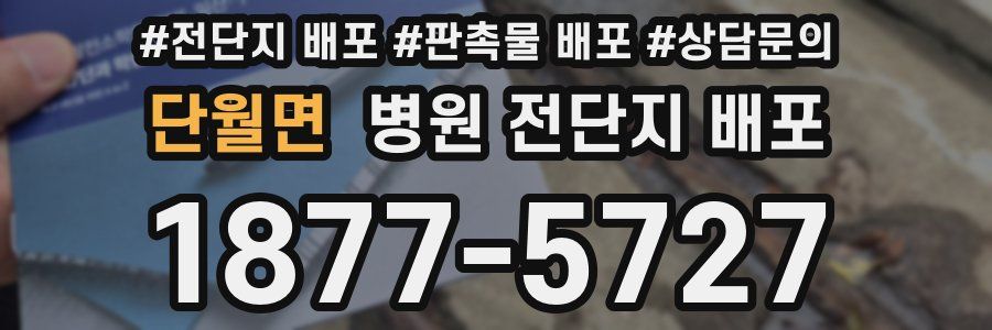 단월면 병원 전단지 배포