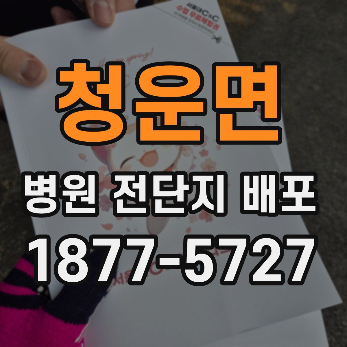 청운면 병원 전단지 배포