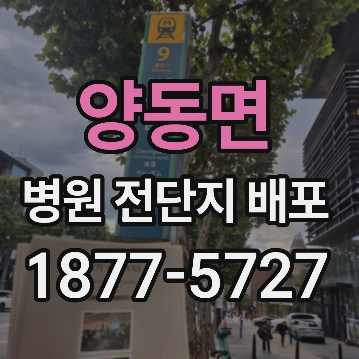 양동면 병원 전단지 배포