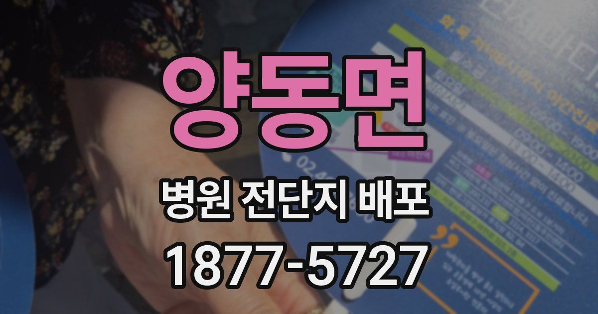 양동면 병원 전단지 배포